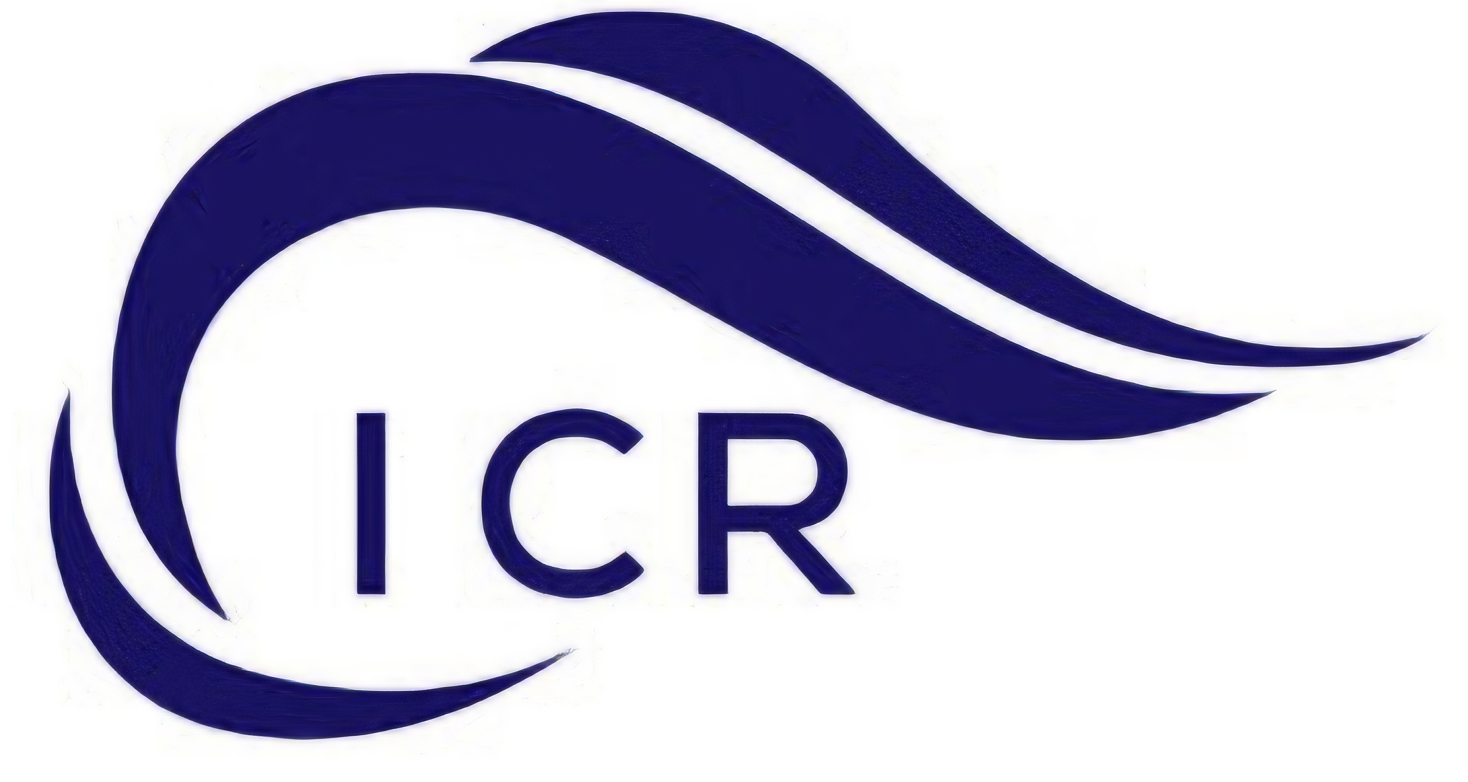 Insha Carpets And Rugs