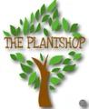 The Plantshop