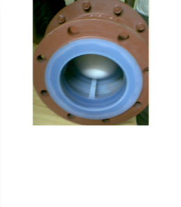 PTFE Lined Ball Check Valves