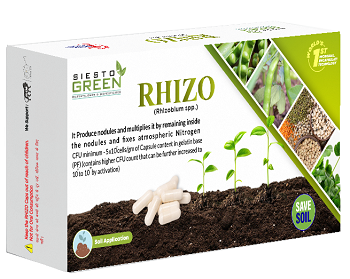 RHIZO