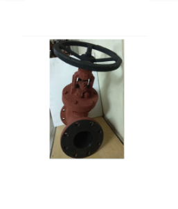 Rubber Lined Y – Type Globe Valve