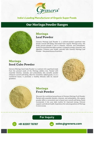 Moringa Leaf Powder for Beverage