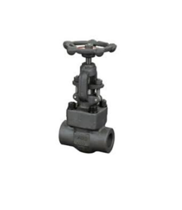 Forged Steel Globe Valve