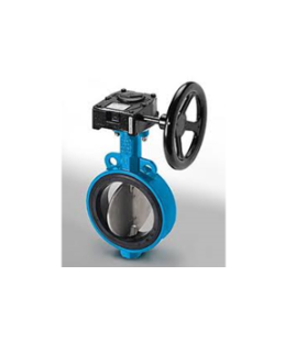 Rubdber Lidned 1 Pc. Pin Less Design Butterfly Valves