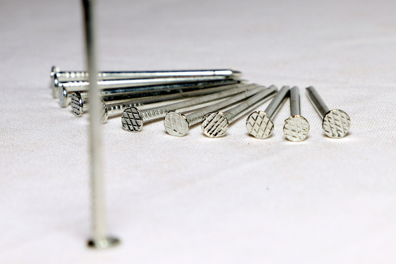 Stainless Steel Wire Nails